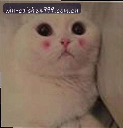刘洋